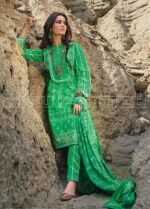 Gul Ahmed CL-874 Lawn